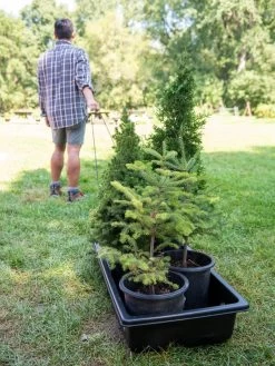 Garden Supplies 18 Garden Supplies -Garden Supplies 8611044 229 tif