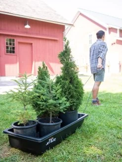 Garden Supplies 26 Garden Supplies -Garden Supplies 8611044 237 tif