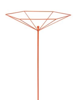 Parasol Plant Supports, Set Of 3 13 Parasol Plant Supports, Set Of 3 -Garden Supplies 8611129 3840 tif