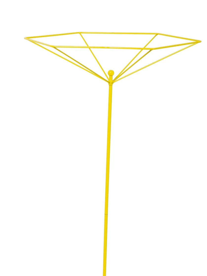 Parasol Plant Supports, Set Of 3 6 Parasol Plant Supports, Set Of 3 - Image 6