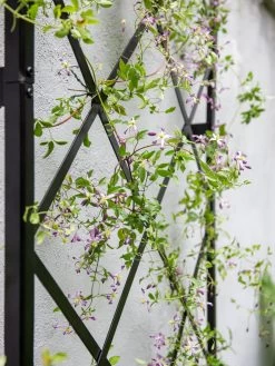 Lattice Gable Wall Trellis 6 Lattice Gable Wall Trellis -Garden Supplies 8611130 011