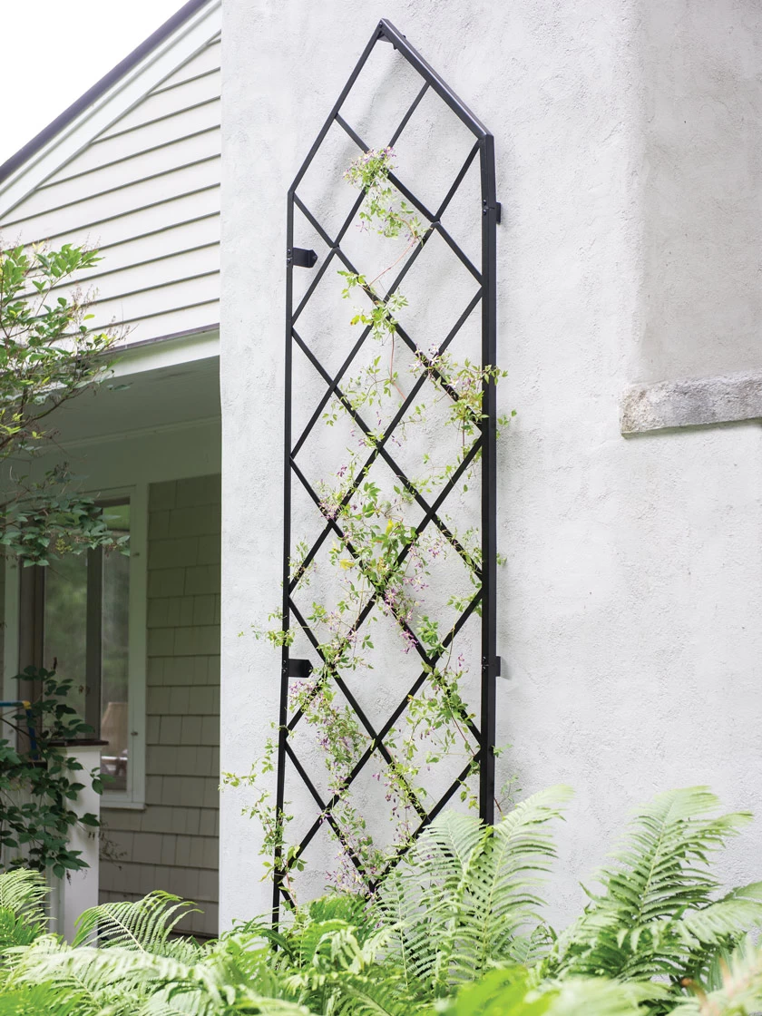 Lattice Gable Wall Trellis 1 Lattice Gable Wall Trellis