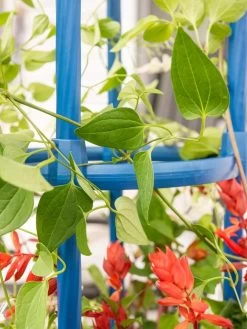 Fleur De Lis Obelisk, 67" -Garden Supplies 8611663 0607 tif