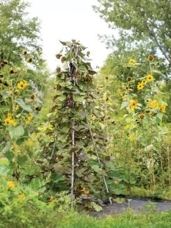 DIY Connector For Teepee Trellis -Garden Supplies 8611896 062 tif