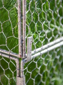 Chicken Wire Crop Coop Extension -Garden Supplies 8611940 232 tif