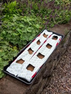 Berry Blend Coir Grow Bag, Set Of 2 6 Berry Blend Coir Grow Bag, Set Of 2 -Garden Supplies 8611968 361 tif