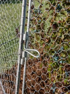 Chicken Wire Super Dome -Garden Supplies 8611977 017 tif