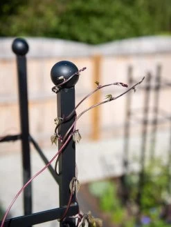 Essex Square Obelisk -Garden Supplies 8611984 278 tif