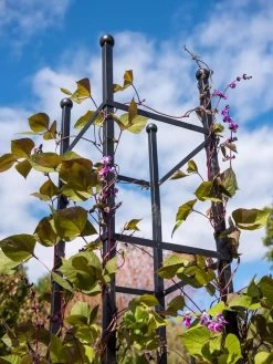 Essex Square Obelisk -Garden Supplies 8611984 354 tif