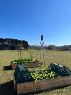 Insect And Pest Net Row Protector -Garden Supplies 8611985 04 tif