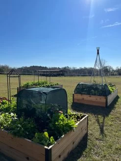 Pest Control Pop-Ups 13 Pest Control Pop-Ups -Garden Supplies 8611989 05 tif