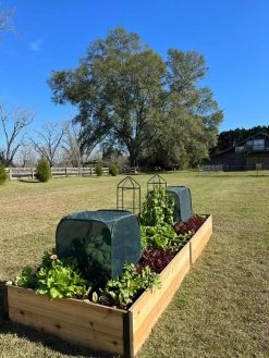 Pest Control Pop-Ups 12 Pest Control Pop-Ups -Garden Supplies 8611989 08 tif