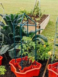 Deluxe Tomato Halos, Set Of 2 -Garden Supplies 8612045 221 tif