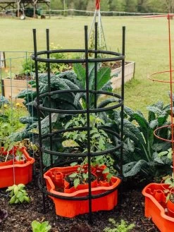 Deluxe Tomato Halos, Set Of 2 -Garden Supplies 8612045 228 tif