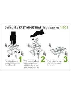Easy Mole Trap 6 Easy Mole Trap -Garden Supplies 8612557 04v 1