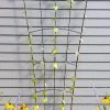 Flock Of Friends Wall Trellis