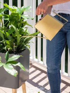 Precision Brass Watering Can -Garden Supplies 8612691 0011