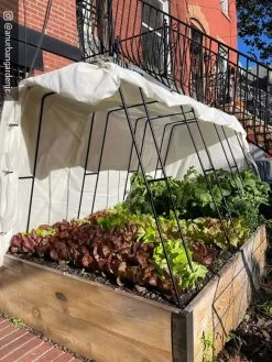 Cotton All Purpose Garden Cover -Garden Supplies 8612816 01CUST