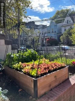 Zenith Garden Hoops, Set Of 4 -Garden Supplies 8612816 02CUST