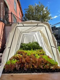 Cotton All Purpose Garden Cover -Garden Supplies 8612816 03CUST