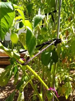 Farmyarn® Multipurpose Garden Tie, 2 Pack -Garden Supplies 8612948 02v