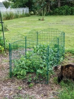 6 Panel Critter Fence With Gate -Garden Supplies 8612967 2570 tif