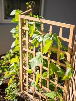 Bamboo Zig-Zag Trellis 24" X 36" -Garden Supplies 8613151 6467