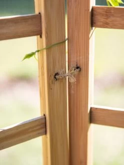 Bamboo Zig-Zag Trellis 24" X 36" -Garden Supplies 8613151 6483