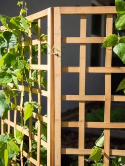 Bamboo Zig-Zag Trellis 24" X 36" -Garden Supplies 8613151 6491