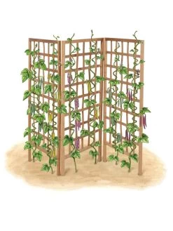 Bamboo Zig-Zag Trellis 24" X 36" -Garden Supplies 8613151 art flat