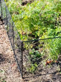 Chicken Wire Critter Fence, 16" High -Garden Supplies 8613249 0309