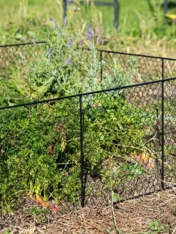 Chicken Wire Critter Fence, 16" High -Garden Supplies 8613249 0352