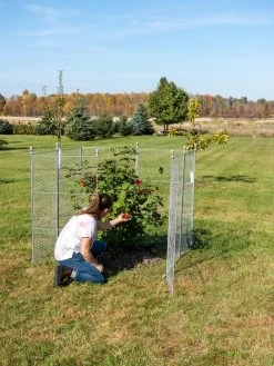 Tall Chicken Wire Critter Fence Extension Panel, Set Of 2 -Garden Supplies 8613260 0090