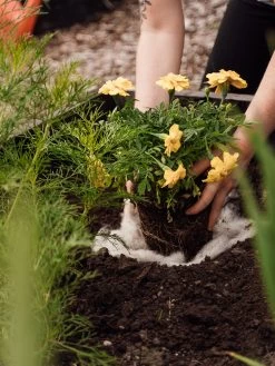 Hortiwool ®, Starter Garden Pad 9 Hortiwool ®, Starter Garden Pad -Garden Supplies 8613263 12v 1