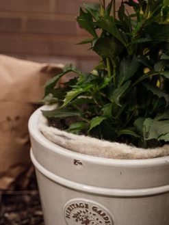 Hortiwool ®, 5 Pad Pack -Garden Supplies 8613263 17v