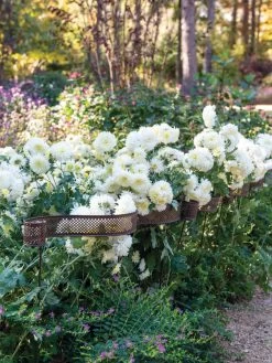 Scroll Linking Stakes, Set Of 3 -Garden Supplies 8613321 5195