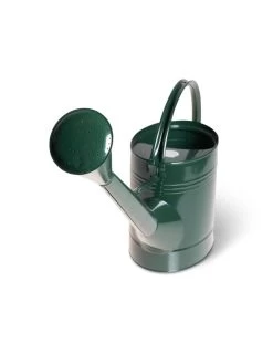 Long Reach Watering Can, Large -Garden Supplies 8613346 5830