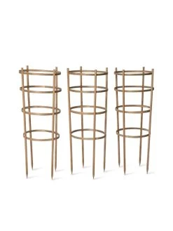 Bamboo Tomato Cages, Set Of 3 -Garden Supplies 8613426 4679 bamboo tomato cages 3