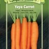 Yaya F1 Carrot Organic Seeds