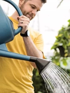 French Blue Watering Can -Garden Supplies ChrisAhrensSquare 0118 tif