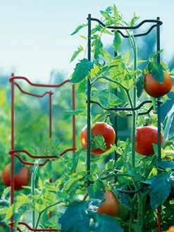 Tomato Ladders, Set Of 3 -Garden Supplies GS34140 001E tif