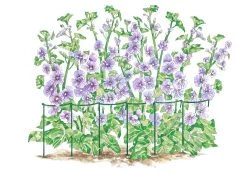 Curved Linking Stakes -Garden Supplies GS35240 01S tif