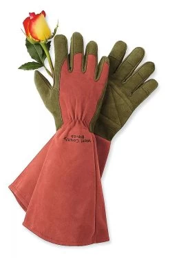 Rose Gloves -Garden Supplies GS36874 01Z tif