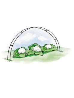 Super Hoops, Set Of 6 8 Super Hoops, Set Of 6 -Garden Supplies GS39423 02S 3 4
