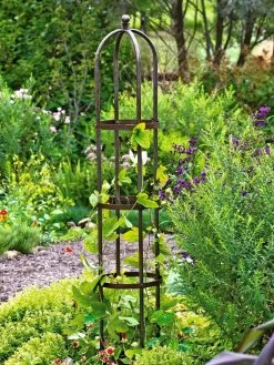 Jardin Bird Cage Support, 26" -Garden Supplies GS39529 01 tif