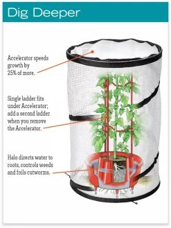 Tomato TLC Kits, Set Of 3 -Garden Supplies hiw 8594214 jpg